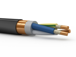 ВВГЭнгFRLS-0,66-30015