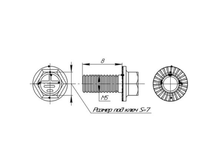 wm5x8-TDZ