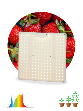 FITO-80W-LED-QB  Фитопрожектор для растений светодиодный ЭРА FITO-80W-LED-QB Quantum board