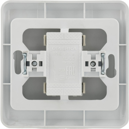 EVV10-K01-10-DM