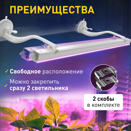 FITO-Hanger 2Х комплект  Кронштейн для фитоламп и фитосветильников ЭРА ЭРА FITO-Hanger 2Х комплект кронштейнов на присоске, в упаковке 2 шт.
