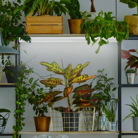 ЭРА Лампа полного спектра FITO-9W-Ra90-Т8-G13-NL (25/1050)