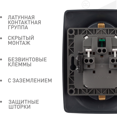 Б0036447