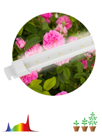 FITO-10W-Т5-Ra90-Slim  Светильник для растений, фитолампа светодиодная линейная ЭРА FITO-10W-Т5-Ra90-Slim полного спектра 10 Вт Т5