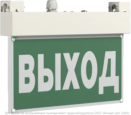 BS-EVERON-51-S1-INEXI2