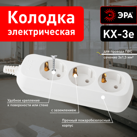 Б0028338
