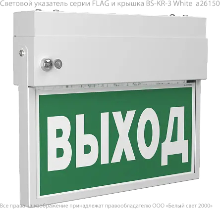 BS-FLAG-71-S1-INEXI2