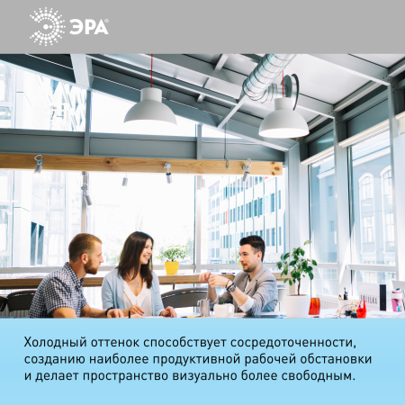 Лампы СВЕТОДИОДНЫЕ СТАНДАРТ LED A65-21W-860-E27  ЭРА (диод, груша, 21Вт, хол, E27)