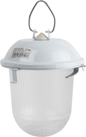 НСП 02-100-001  Светильник ЭРА  НСП 02-100-001 без решетки Желудь сталь / стекло IP54 E27 max 100Вт 170х260 белый